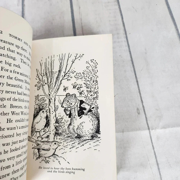 Vintage 1920s Hardcover Storybook Tommy and the Wishing Stone Illustrated - Picture 13 of 15